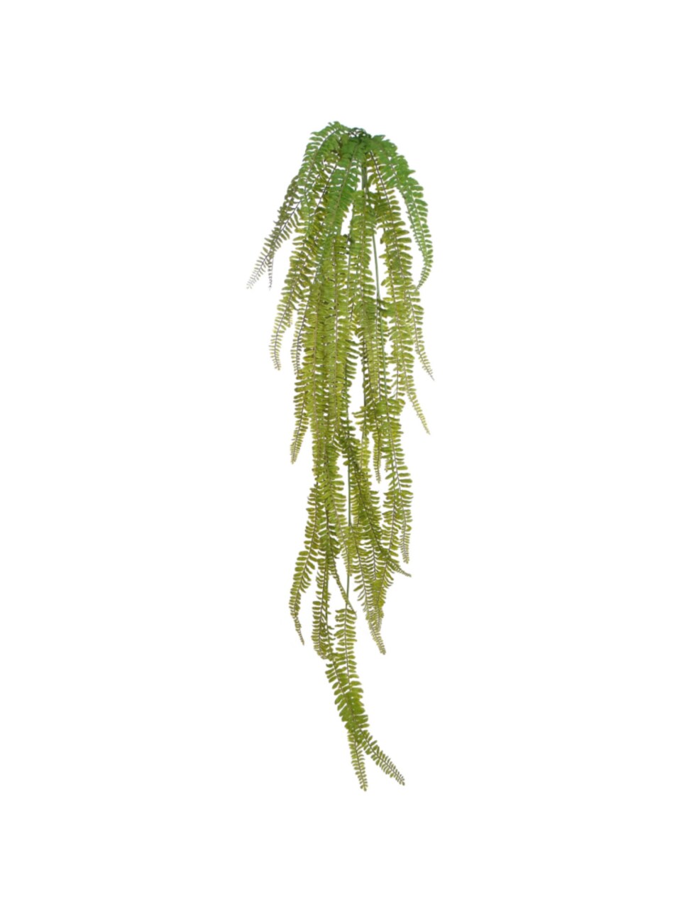 Box of 6: 50" Hanging Fern with Silk Fronds, UV Resistant, Indoor/Outdoor, Faux Greenery, Patio & Garden, Home & Office Decor